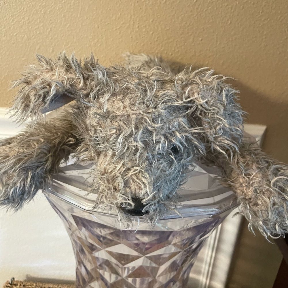 TY Rag Dog 2000 Plush Mutt Dog